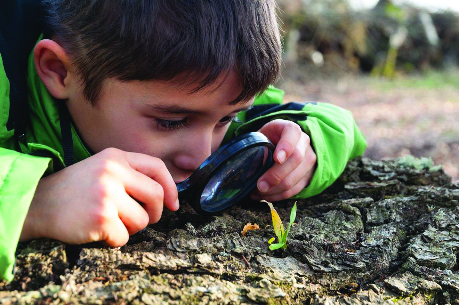 Юный любитель природы. Дети изучают природу. Ребенок наблюдает. Ддетти наблюдают за природой. Изучение природы.